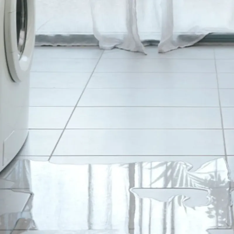 Appliance Leak Cleanup in Rockford, OH