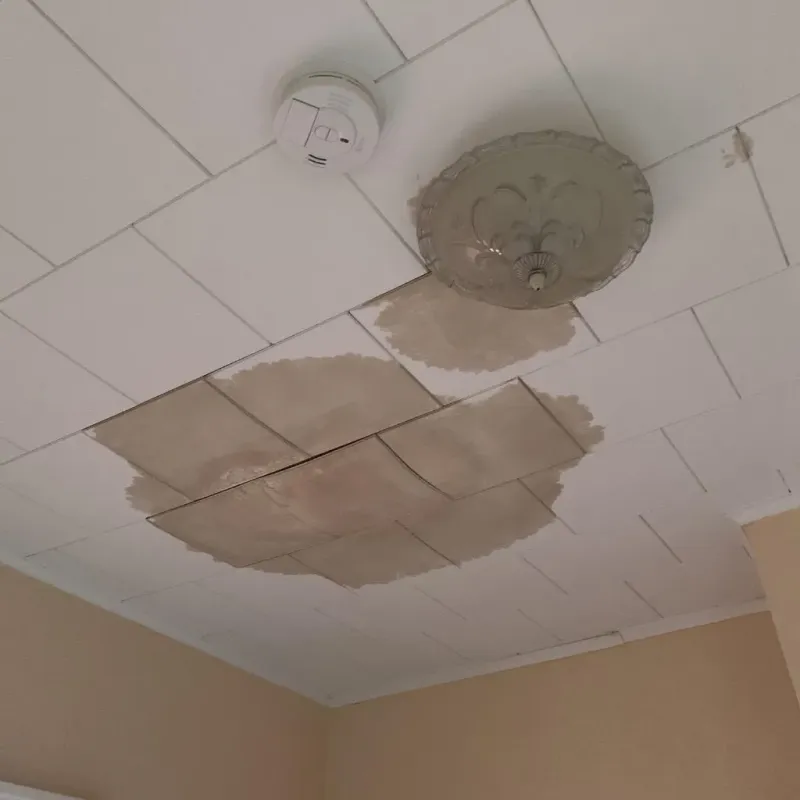 Ceiling Water Damage Repair in Rockford, OH