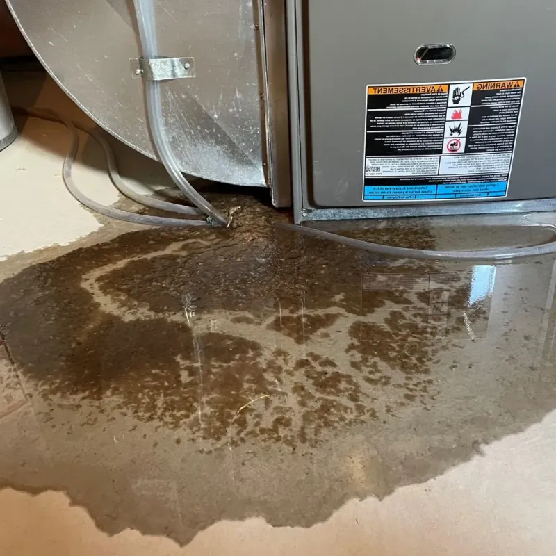 Pipe Burst and Leak Restoration in Rockford, OH