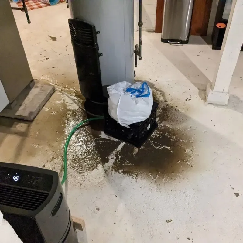 Sewage Backup Cleanup Service in Rockford, OH